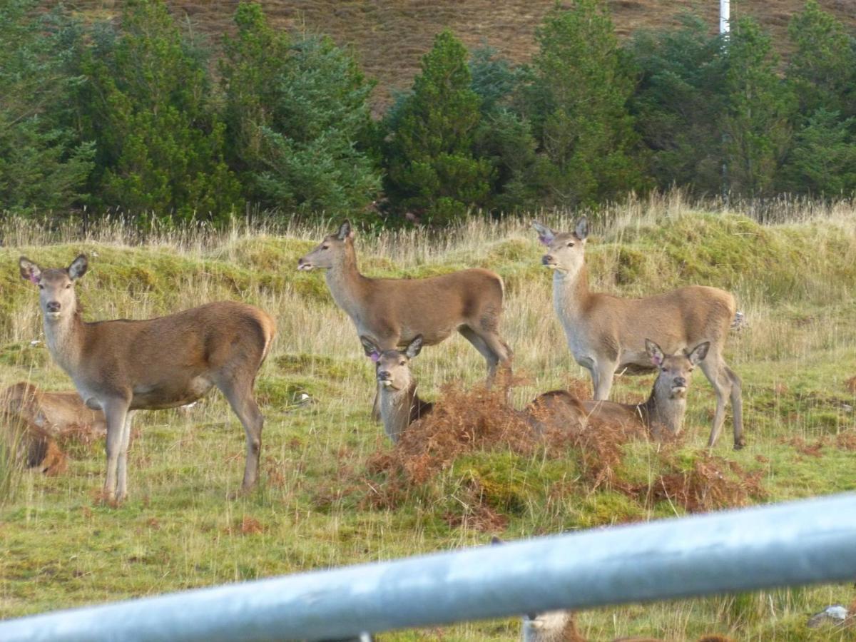 Stags View Holiday Home Portree Bagian luar foto