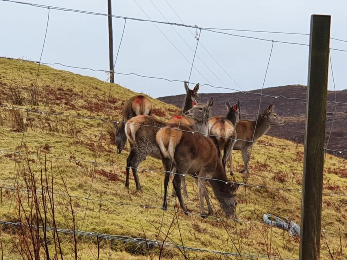 Stags View Holiday Home Portree Bagian luar foto